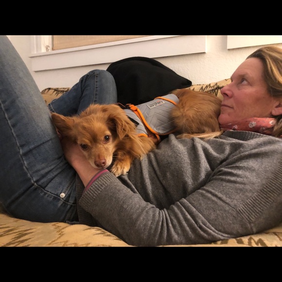 Meet your Posher, Elizabeth - Picture 1 of 1